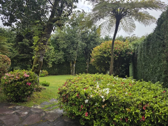 Moradia T3 para Venda em Santana Foto 29