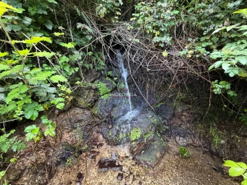 Quinta T1 para Venda em Aldeias e Mangualde da Serra