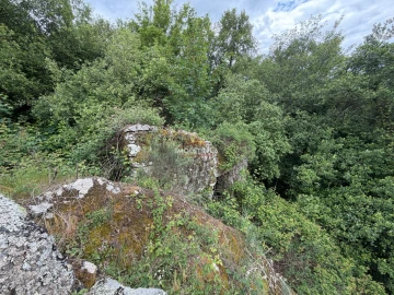 Quinta T1 para Venda em Aldeias e Mangualde da Serra