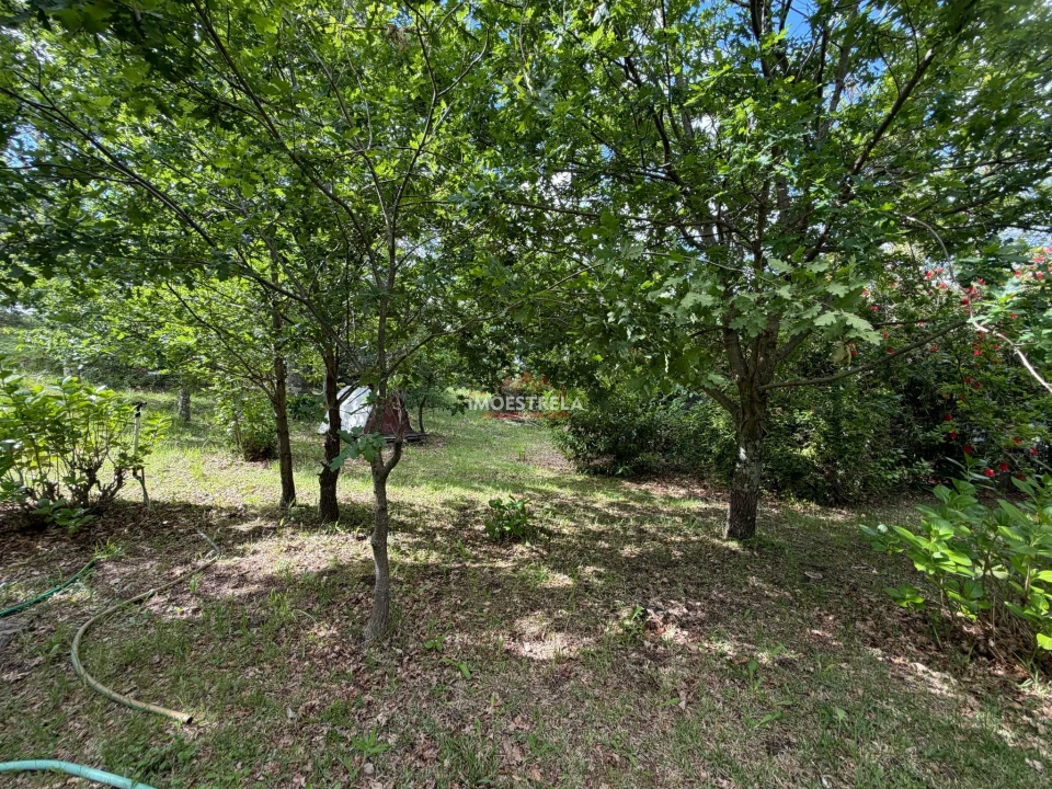 Quinta T1 para Venda em Aldeias e Mangualde da Serra Foto 13