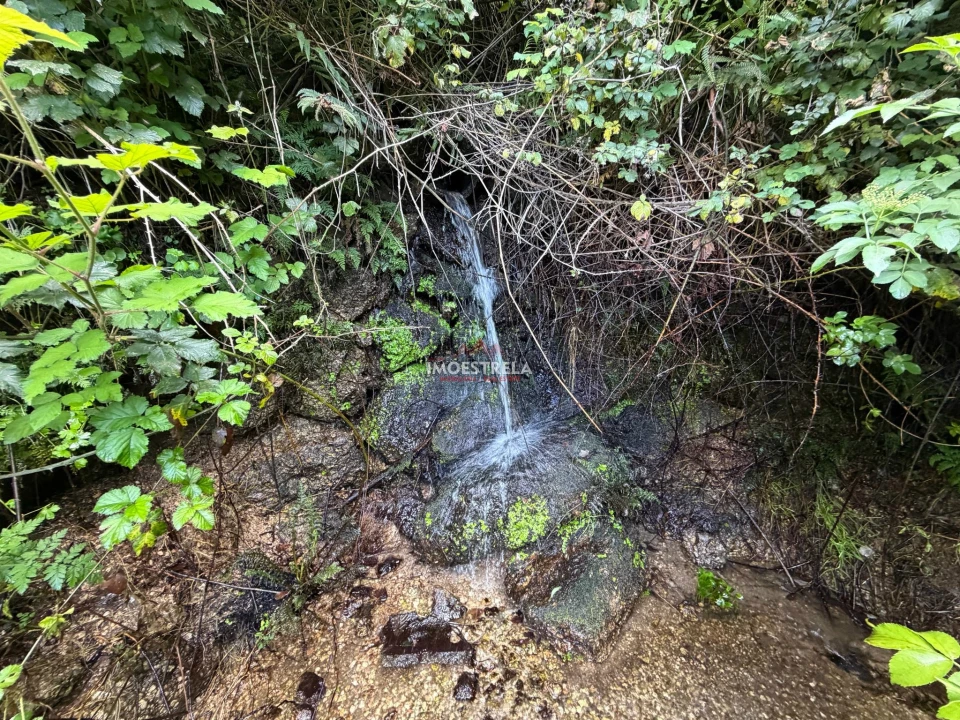 Quinta T1 para Venda em Aldeias e Mangualde da Serra Foto 2