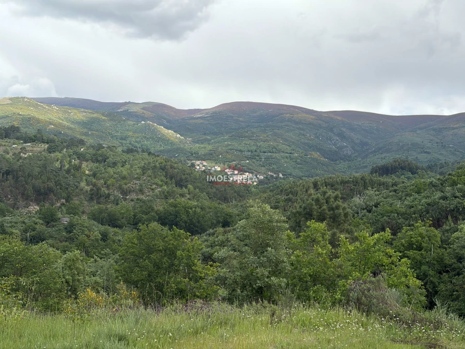 Quinta T1 para Venda em Aldeias e Mangualde da Serra Foto 4