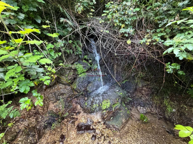 Quinta T1 para Venda em Aldeias e Mangualde da Serra Foto 2