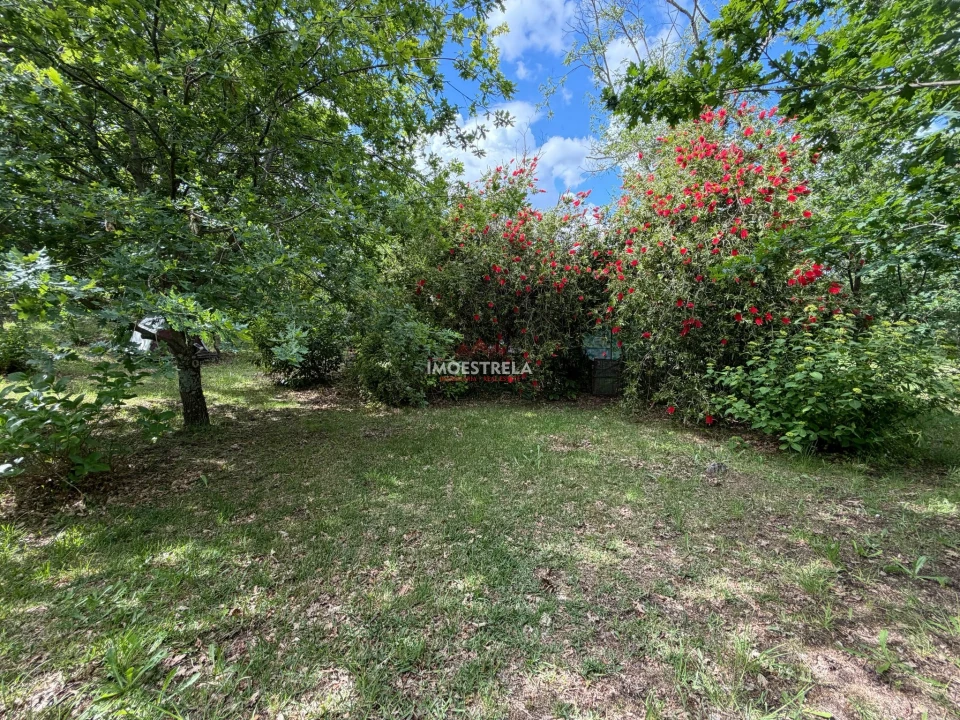 Quinta T1 para Venda em Aldeias e Mangualde da Serra Foto 8