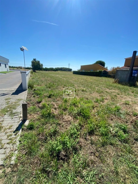 Terreno para Venda em Louriçal