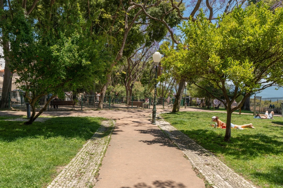 Apartamento T2 para Arrendamento em São Vicente Foto 21