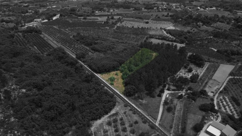 Terreno Agricola ou Rústico para Venda em Vale Formoso e Aldeia do Souto