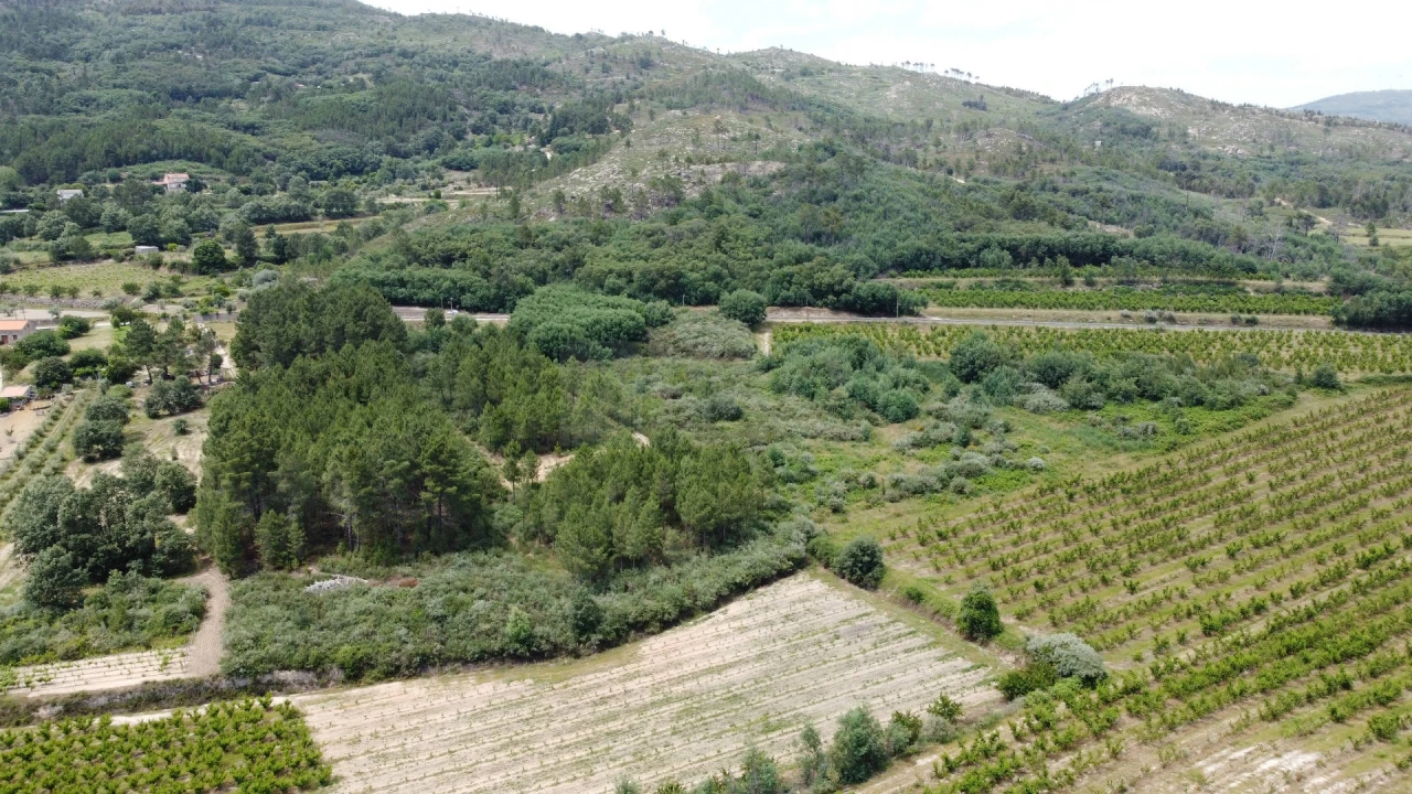 Terreno Agricola ou Rústico para Venda em Vale Formoso e Aldeia do Souto Foto 7