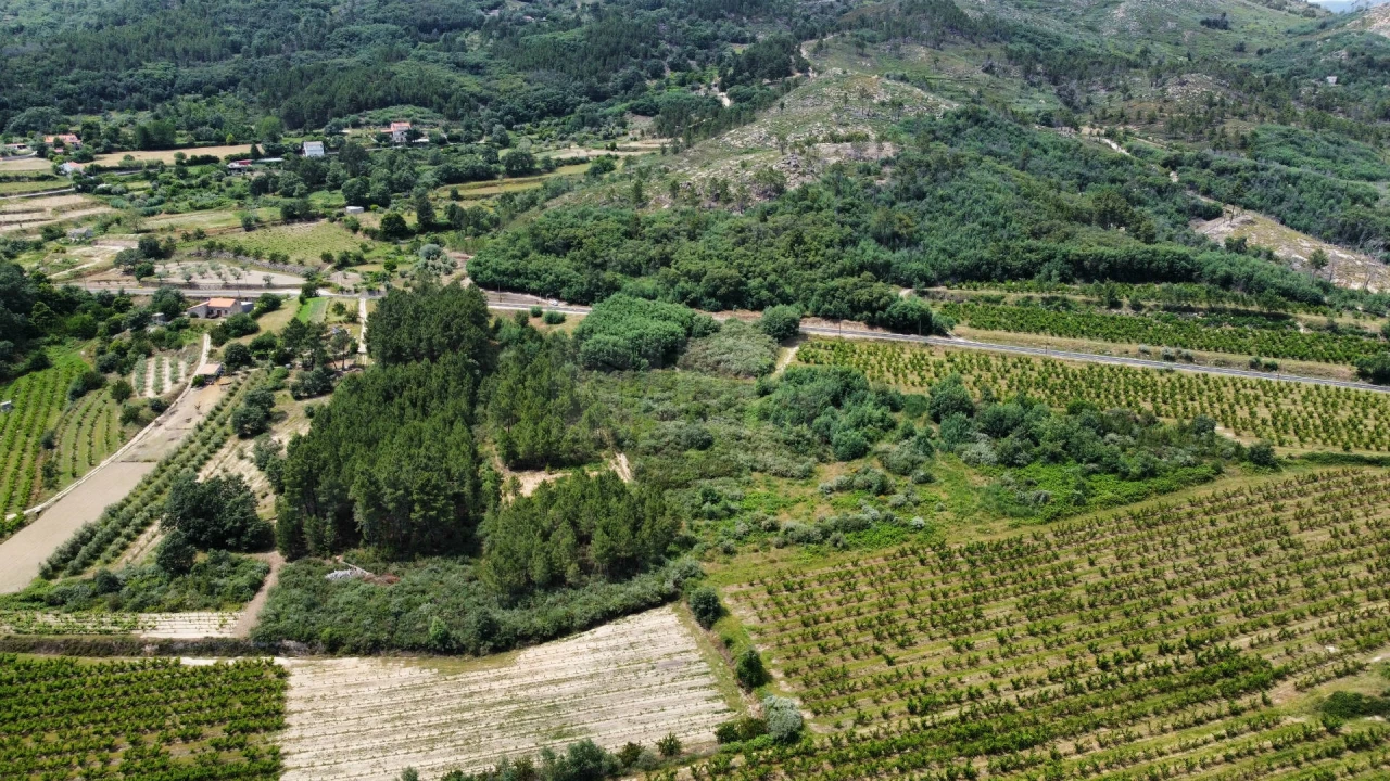 Terreno Agricola ou Rústico para Venda em Vale Formoso e Aldeia do Souto Foto 3