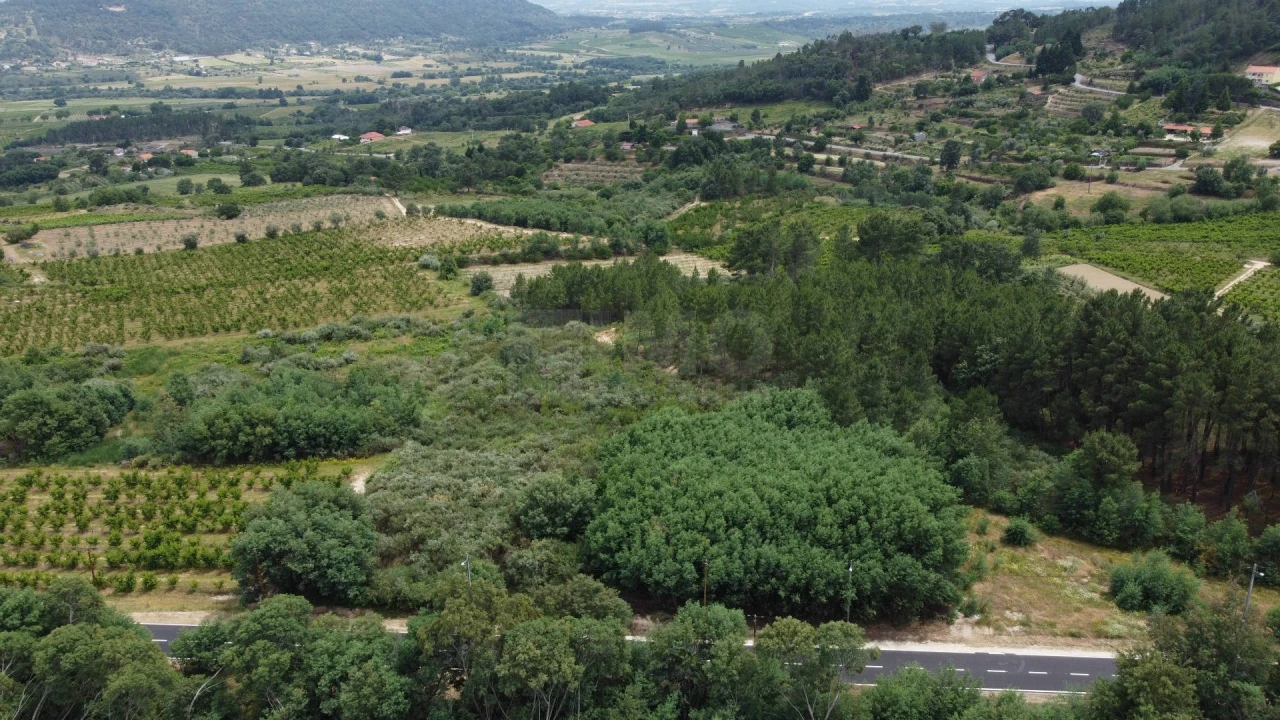 Terreno Agricola ou Rústico para Venda em Vale Formoso e Aldeia do Souto Foto 9