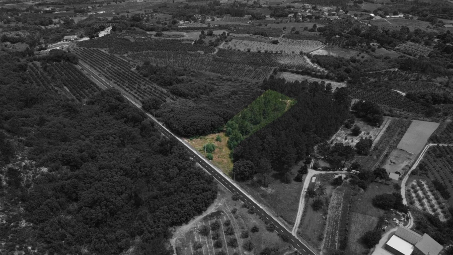 Terreno Agricola ou Rústico para Venda em Vale Formoso e Aldeia do Souto Foto 3