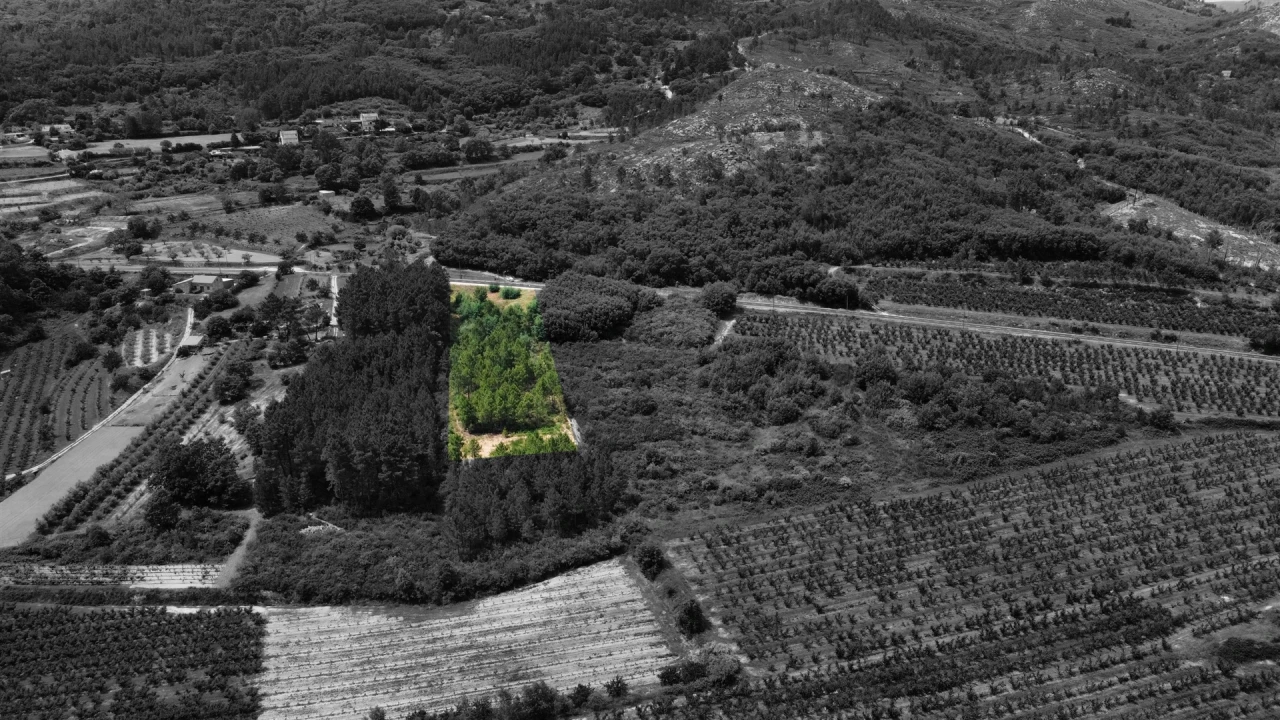 Terreno Agricola ou Rústico para Venda em Vale Formoso e Aldeia do Souto Foto 1