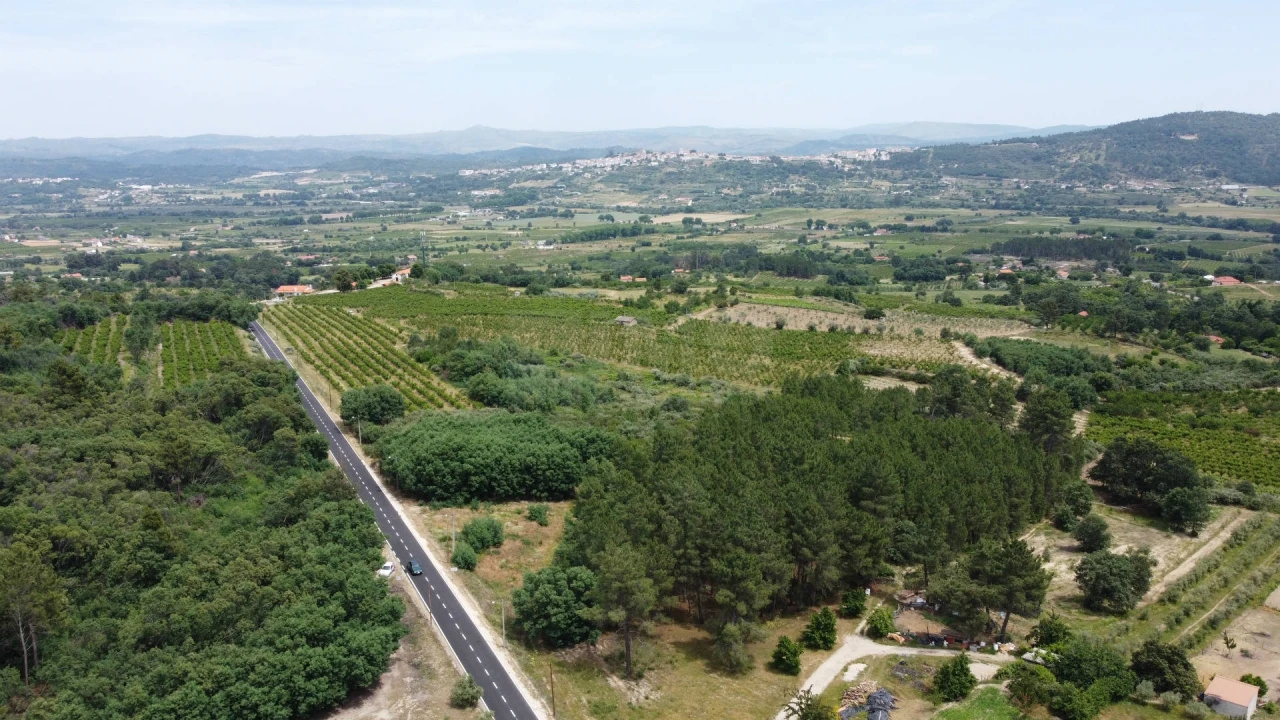 Terreno Agricola ou Rústico para Venda em Vale Formoso e Aldeia do Souto Foto 6