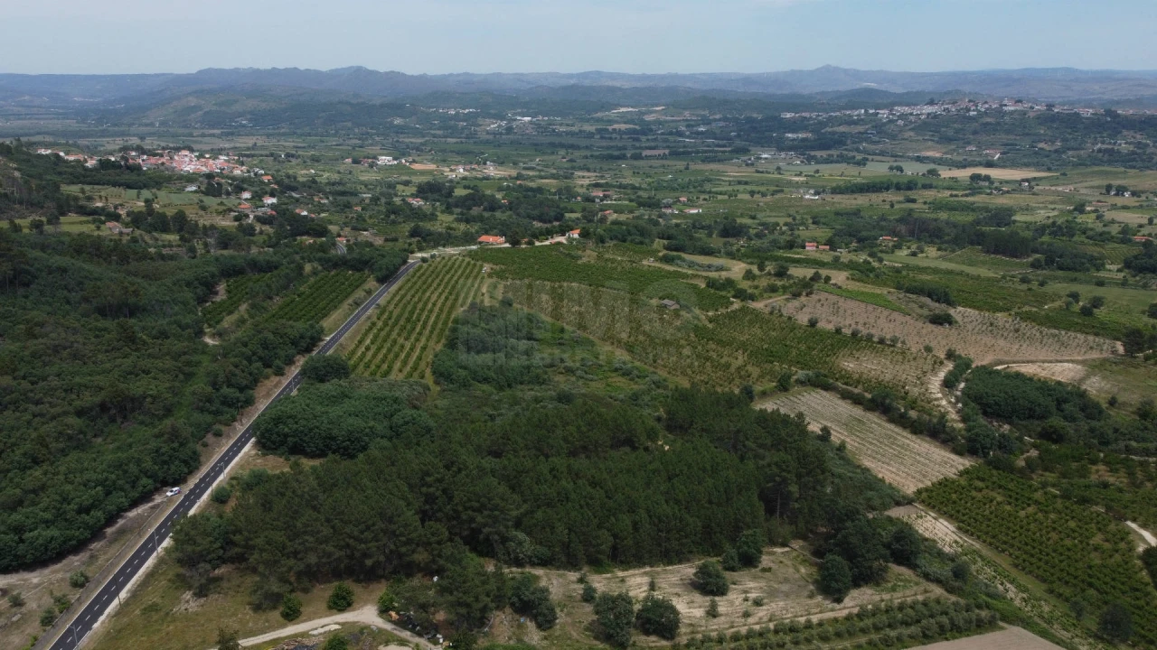 Terreno Agricola ou Rústico para Venda em Vale Formoso e Aldeia do Souto Foto 10