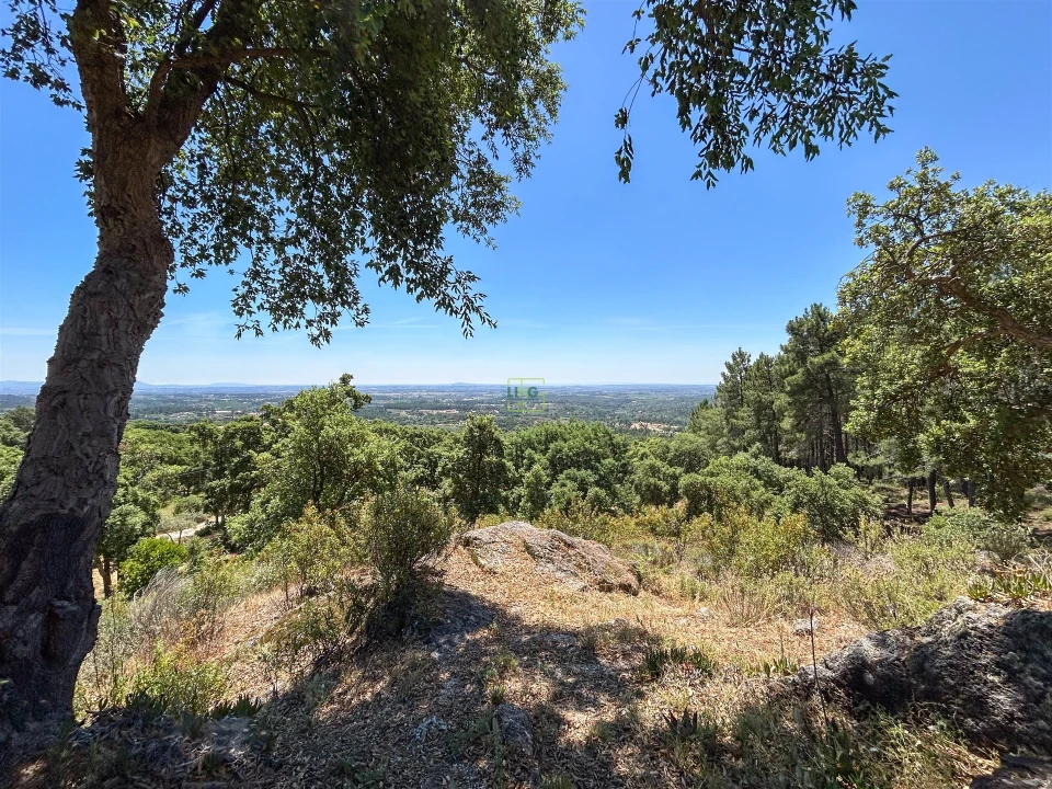 Quinta T4 para Venda em Vale de Prazeres e Mata da Rainha Foto 57