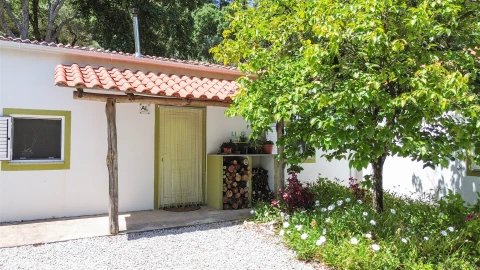 Quinta T4 para Venda em Vale de Prazeres e Mata da Rainha