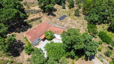 Quinta T4 para Venda em Vale de Prazeres e Mata da Rainha