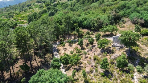 Quinta T4 para Venda em Vale de Prazeres e Mata da Rainha