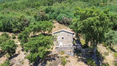 Quinta T4 para Venda em Vale de Prazeres e Mata da Rainha