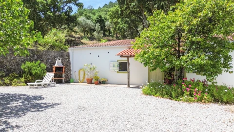 Quinta T4 para Venda em Vale de Prazeres e Mata da Rainha