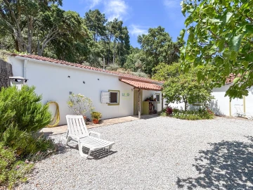 Quinta T4 para Venda em Vale de Prazeres e Mata da Rainha