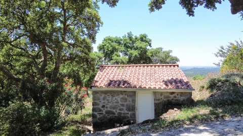 Quinta T4 para Venda em Vale de Prazeres e Mata da Rainha