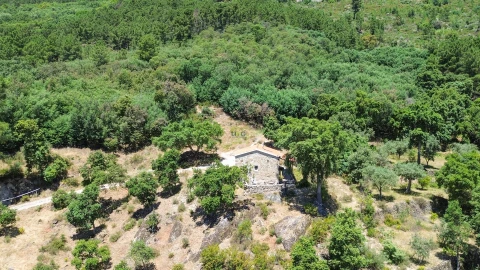 Quinta T4 para Venda em Vale de Prazeres e Mata da Rainha