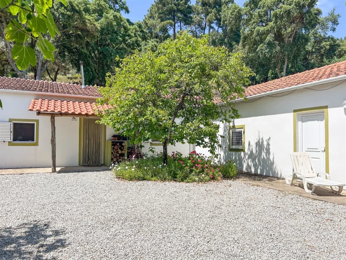Quinta T4 para Venda em Vale de Prazeres e Mata da Rainha Foto 118