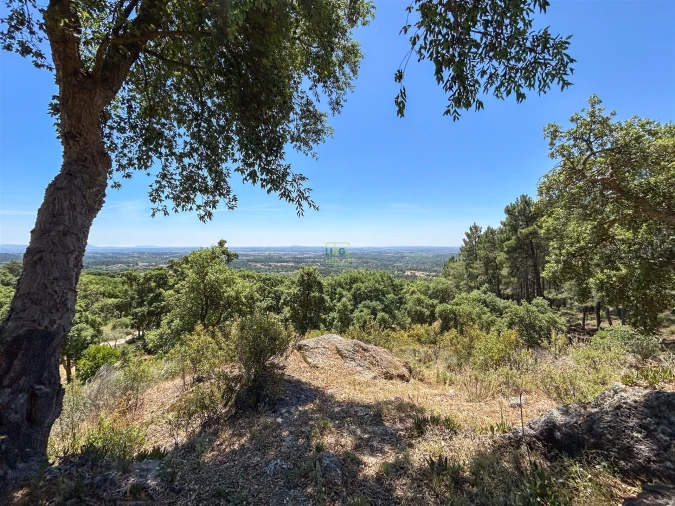 Quinta T4 para Venda em Vale de Prazeres e Mata da Rainha Foto 57