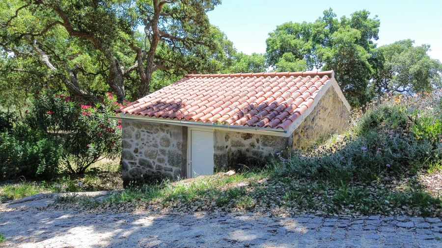 Quinta T4 para Venda em Vale de Prazeres e Mata da Rainha Foto 19