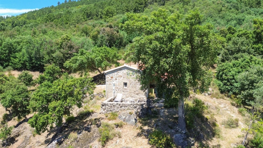 Quinta T4 para Venda em Vale de Prazeres e Mata da Rainha Foto 11
