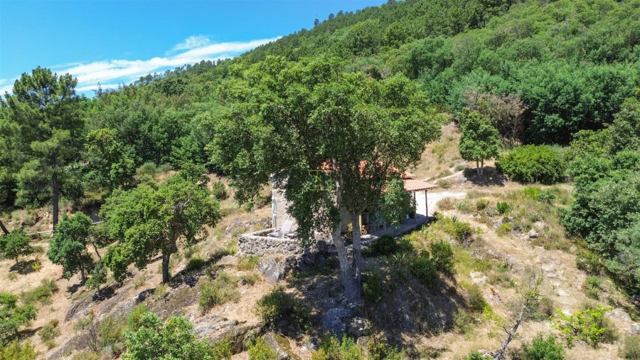 Quinta T4 para Venda em Vale de Prazeres e Mata da Rainha Foto 12