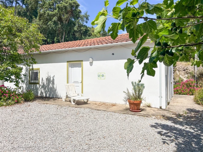 Quinta T4 para Venda em Vale de Prazeres e Mata da Rainha Foto 115
