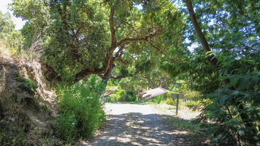 Quinta T4 para Venda em Vale de Prazeres e Mata da Rainha Foto 16