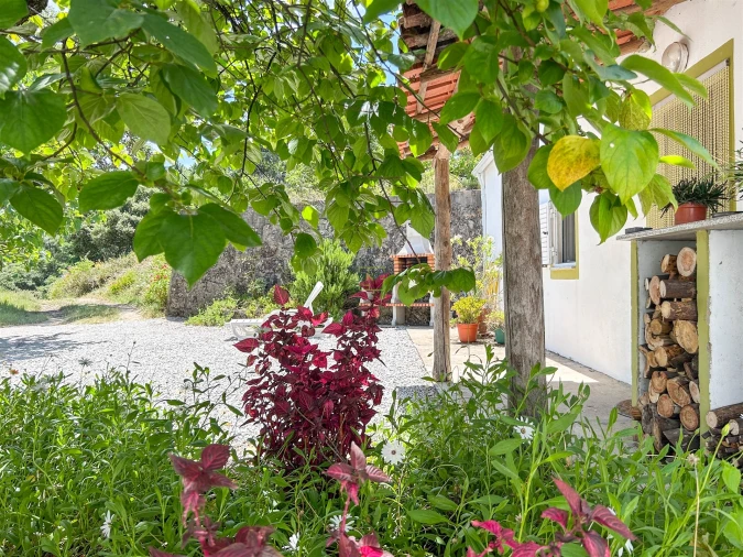 Quinta T4 para Venda em Vale de Prazeres e Mata da Rainha Foto 127