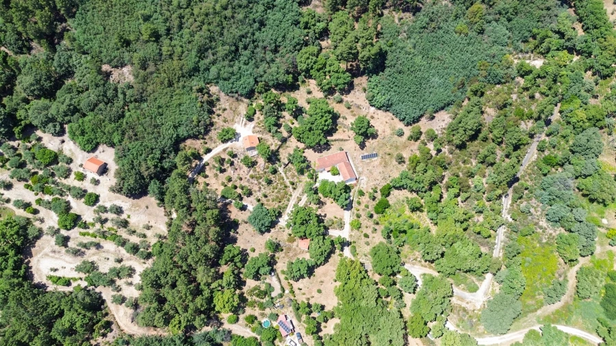 Quinta T4 para Venda em Vale de Prazeres e Mata da Rainha Foto 24