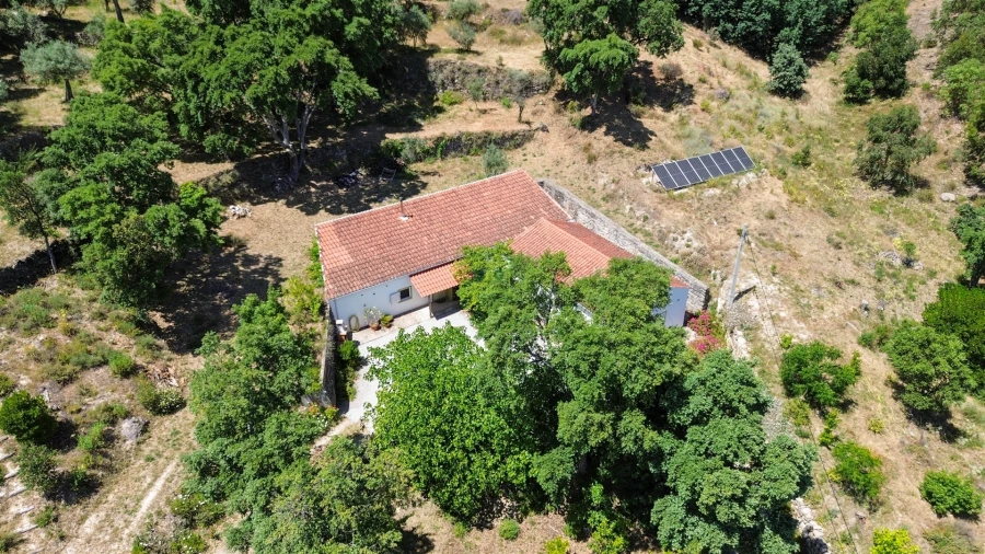 Quinta T4 para Venda em Vale de Prazeres e Mata da Rainha Foto 27