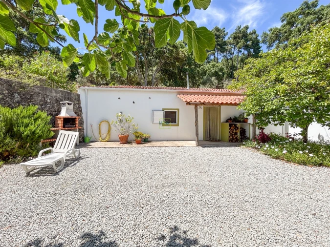 Quinta T4 para Venda em Vale de Prazeres e Mata da Rainha Foto 121