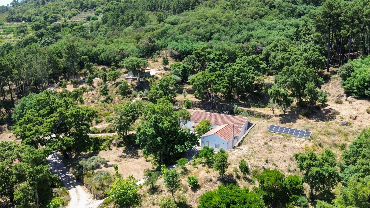 Quinta T4 para Venda em Vale de Prazeres e Mata da Rainha Foto 29