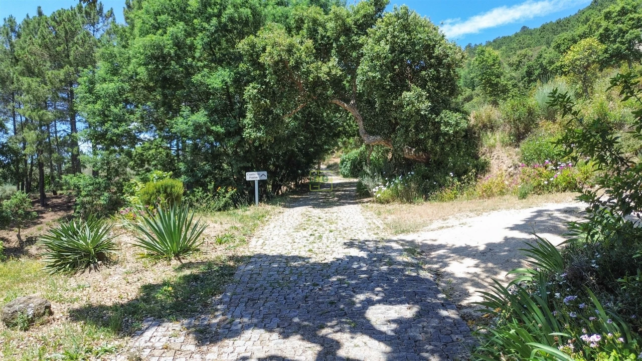 Quinta T4 para Venda em Vale de Prazeres e Mata da Rainha Foto 20
