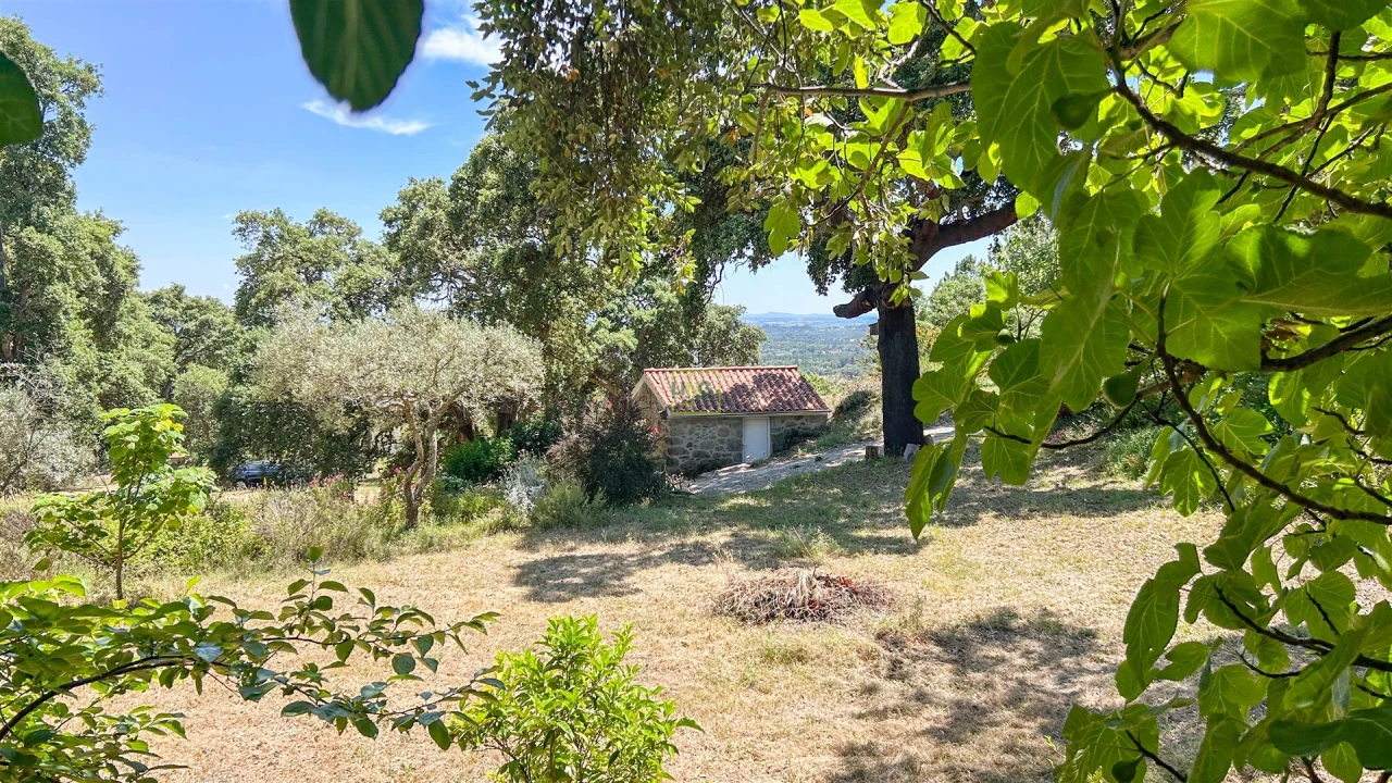 Quinta T4 para Venda em Vale de Prazeres e Mata da Rainha Foto 128