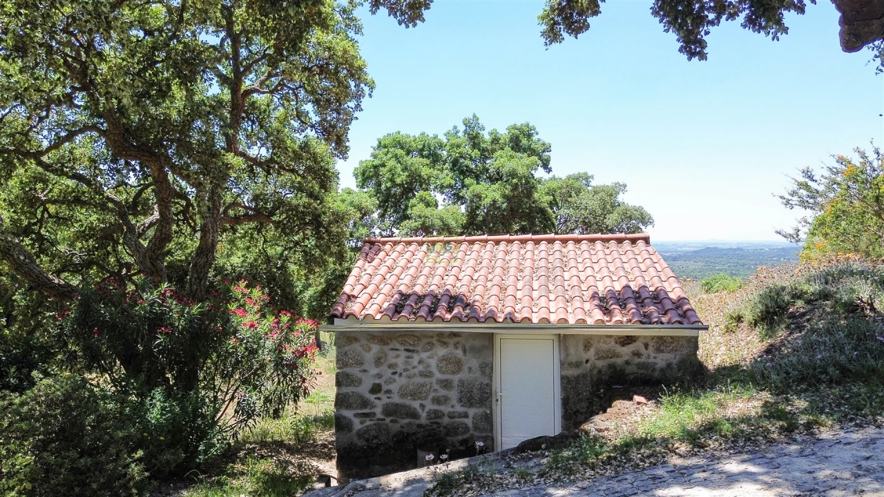Quinta T4 para Venda em Vale de Prazeres e Mata da Rainha Foto 18