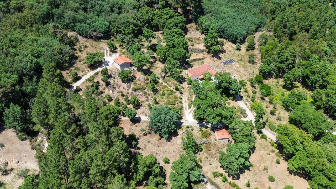 Quinta T4 para Venda em Vale de Prazeres e Mata da Rainha Foto 25