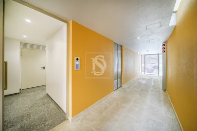 Apartamento T0 para Venda em Cedofeita, Santo Ildefonso, Sé, Miragaia, São Nicolau e Vitória