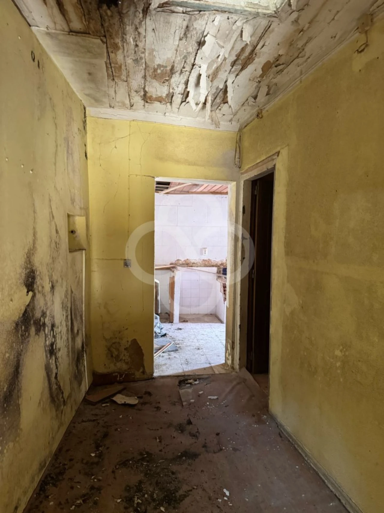 Prédio para Venda em Santa Maria Maior Foto 5