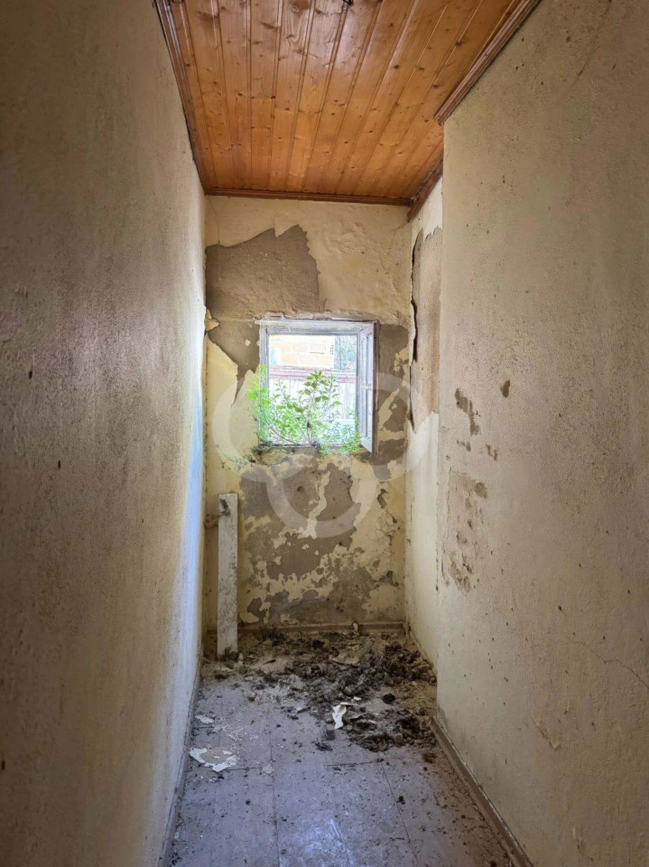 Prédio para Venda em Santa Maria Maior Foto 8
