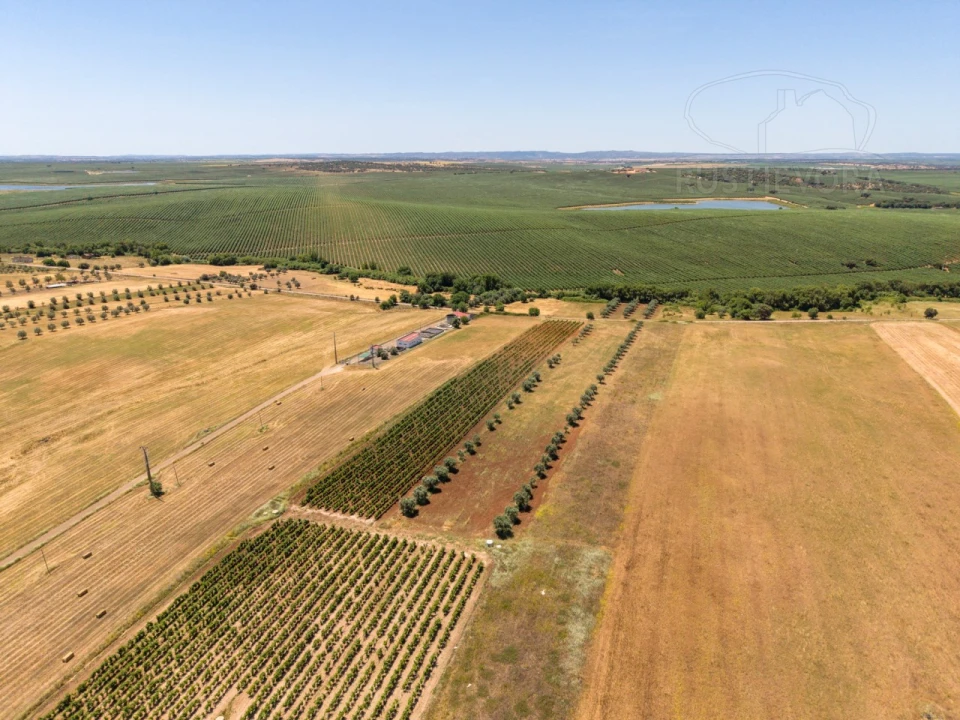 Terreno para Venda em Montoito Foto 1