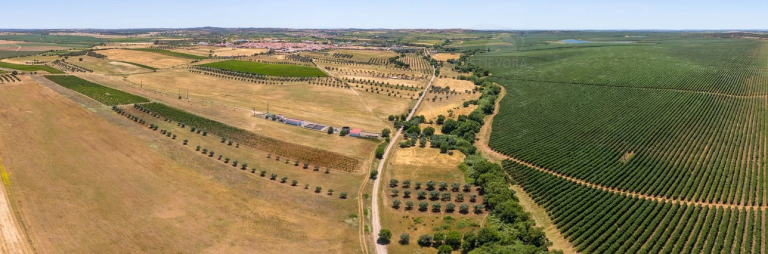Terreno para Venda em Montoito Foto 4