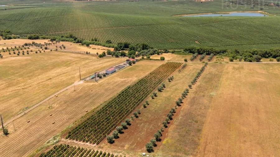 Terreno para Venda em Montoito