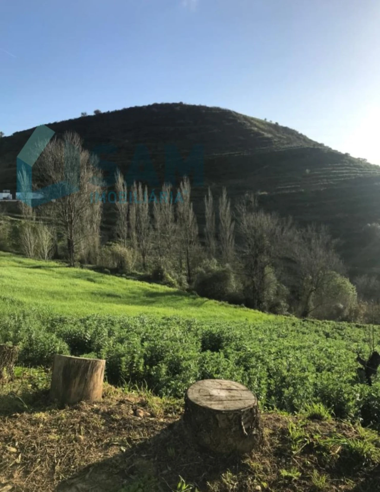 Moradia T2 para Venda em Santa Maria, São Pedro e Matacães Foto 11